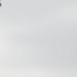 2013 Suche 29062013 Michal